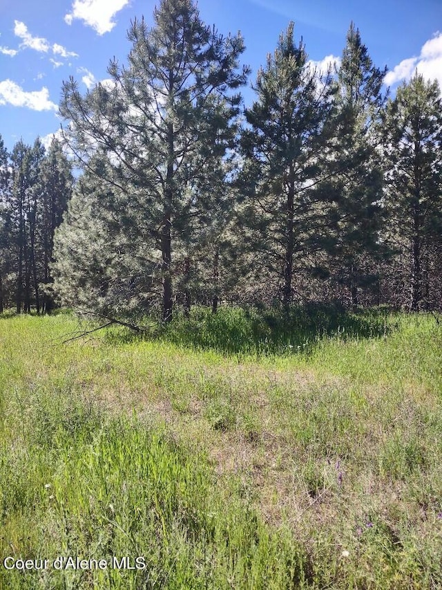 Listing photo 2 for LOT1 Champs Rd, Bonners Ferry ID 83805