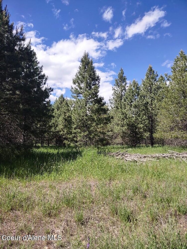 Listing photo 3 for LOT1 Champs Rd, Bonners Ferry ID 83805