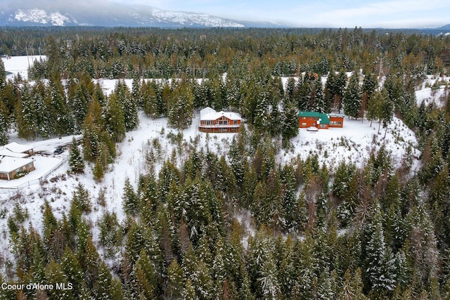 snowy aerial view with a wooded view