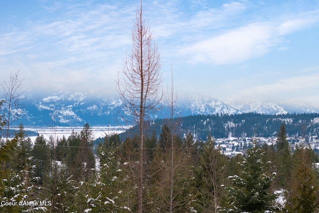 view of mountain feature featuring a view of trees