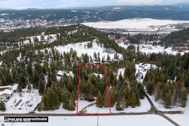 snowy aerial view featuring a mountain view