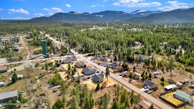 aerial view with a mountain view and a forest view