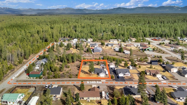bird's eye view with a mountain view and a forest view