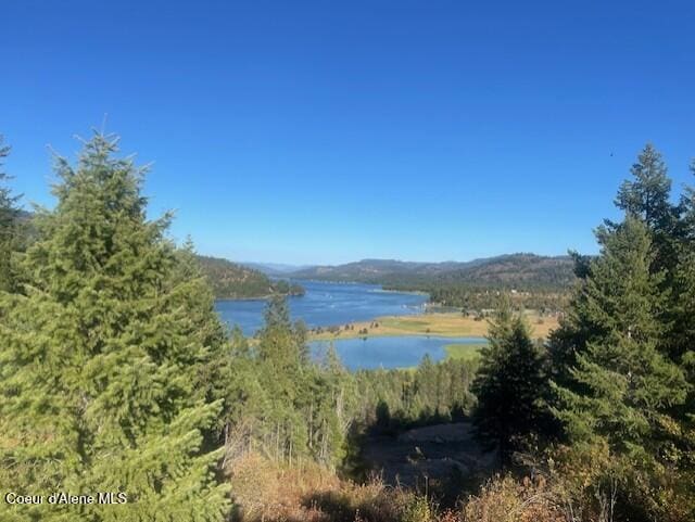 330 Living Waters Way, Priest River ID, 83856 land for sale