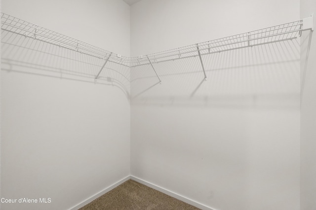 spacious closet with carpet flooring