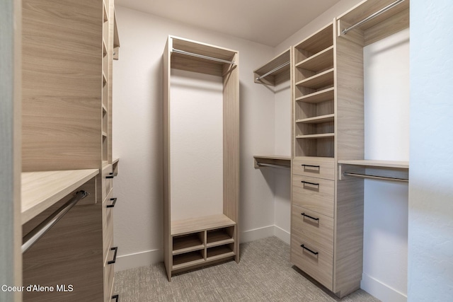 spacious closet with light carpet