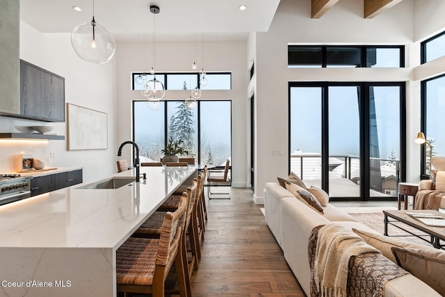 kitchen featuring open floor plan, hardwood / wood-style floors, plenty of natural light, and a sink