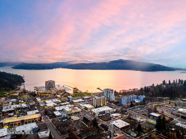 aerial view featuring a view of city and a water view