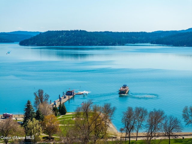 301 N 1st St # 930, Coeur Dalene, ID 83814 - view of water feature featuring boat lift and a dock