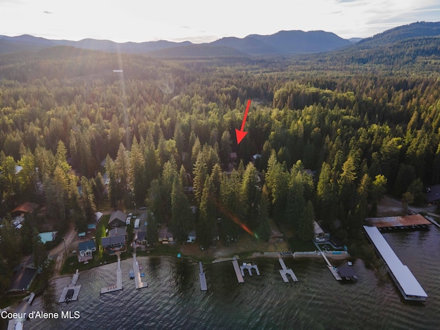 drone / aerial view with a mountain view and a view of trees