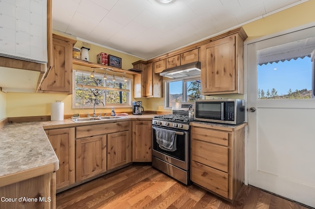 kitchen featuring wood finished floors, light countertops, stainless steel appliances, under cabinet range hood, and a sink