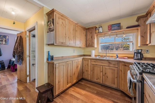 kitchen featuring crown molding, light brown cabinetry, light wood-style floors, gas stove, and a sink