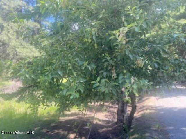 NNA Tannebaum, Bonners Ferry, ID 83805 - photo 1
