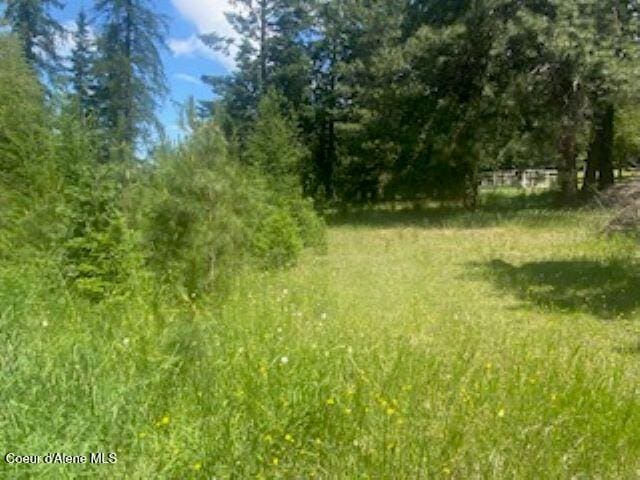 NNA Tannebaum, Bonners Ferry, ID 83805 - photo 4