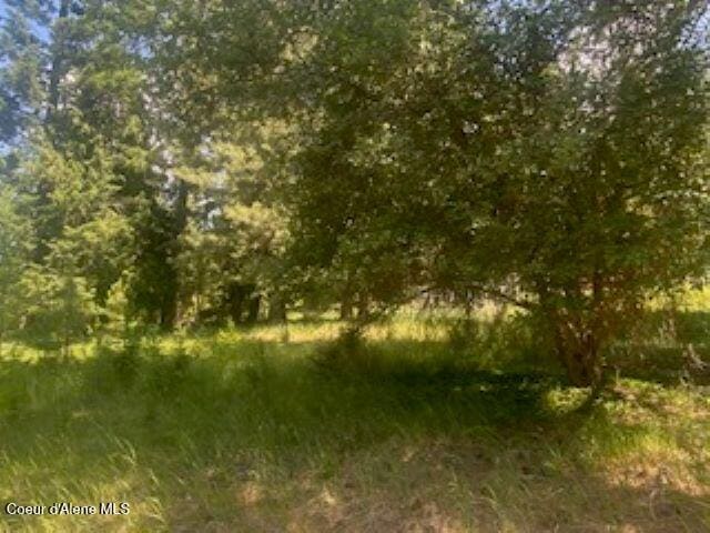 NNA Tannebaum, Bonners Ferry, ID 83805 - photo 5