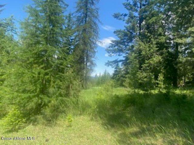 NNA Tannebaum, Bonners Ferry, ID 83805 - photo 6