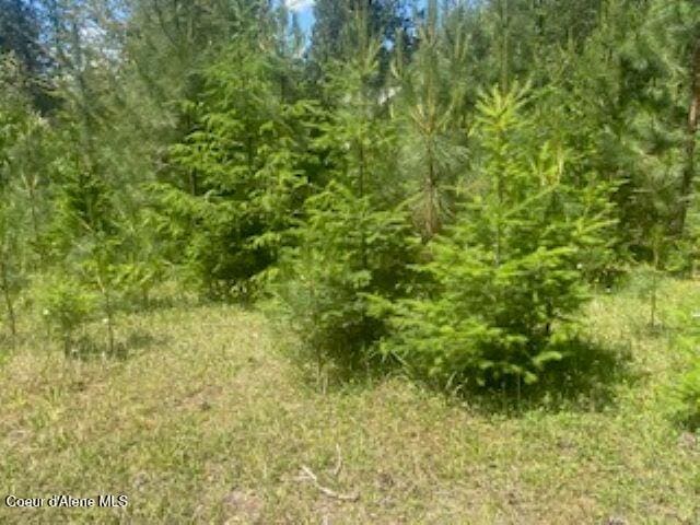 NNA Tannebaum, Bonners Ferry, ID 83805 - photo 9