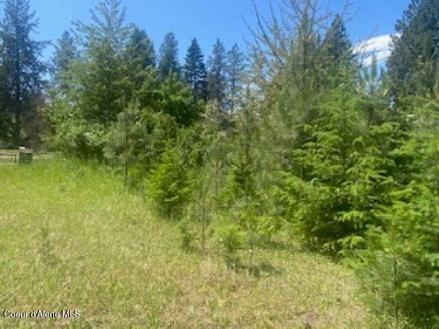 NNA Tannebaum, Bonners Ferry, ID 83805 - photo 10