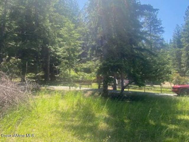 NNA Tannebaum, Bonners Ferry, ID 83805 - photo 11
