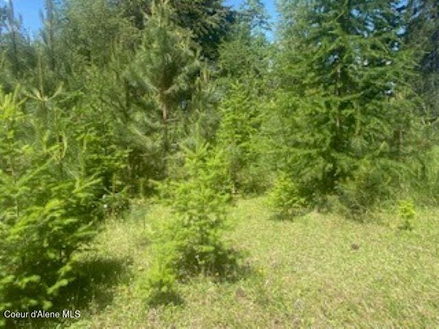 NNA Tannebaum, Bonners Ferry, ID 83805 - photo 12