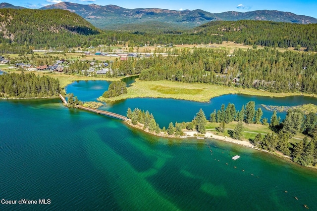 birds eye view of property with a forest view and a water and mountain view