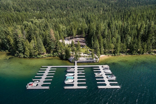 birds eye view of property featuring a water view and a view of trees