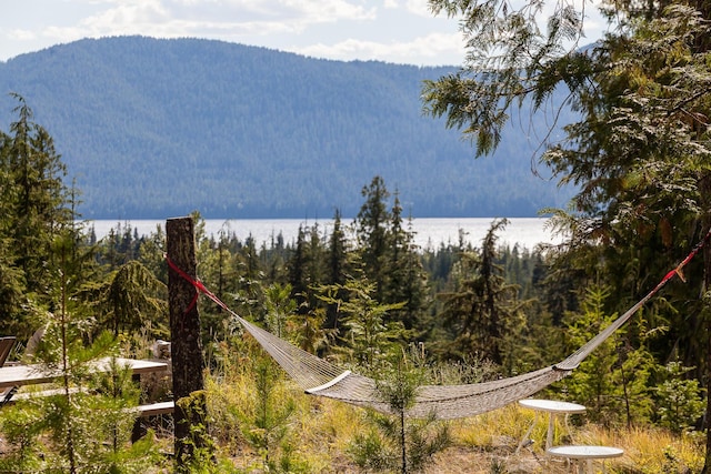 mountain view with a wooded view