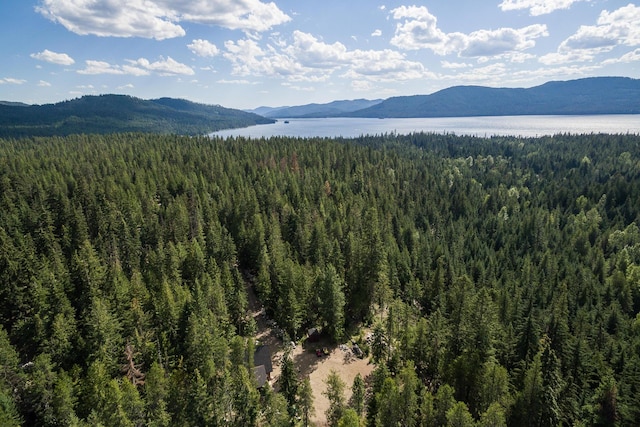 mountain view featuring a water view and a forest view