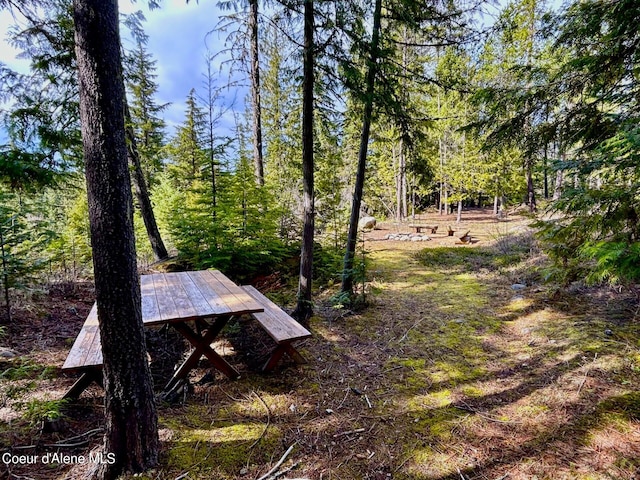 view of yard featuring a wooded view