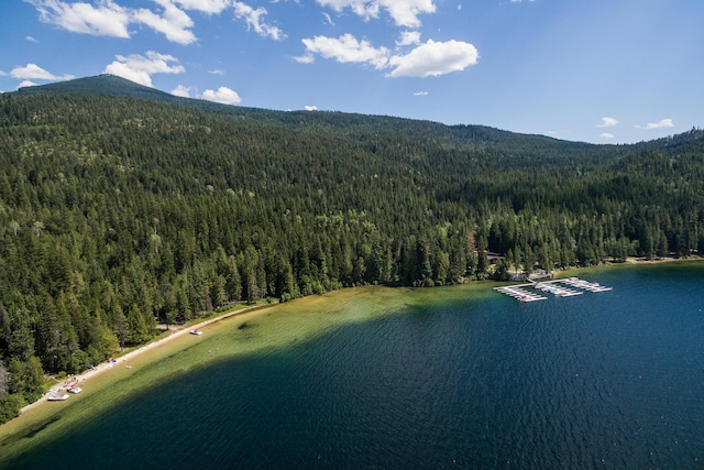 drone / aerial view with a wooded view and a water and mountain view