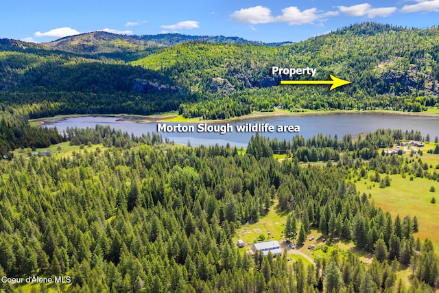 drone / aerial view with a wooded view and a water and mountain view