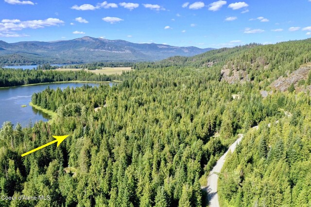 bird's eye view featuring a wooded view and a water and mountain view