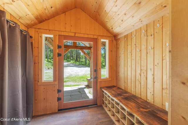 interior space featuring lofted ceiling, wood walls, a healthy amount of sunlight, and wood finished floors