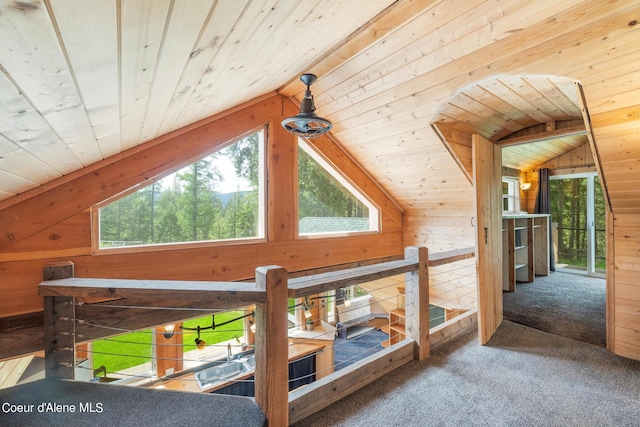 bonus room featuring vaulted ceiling, wood walls, and carpet flooring