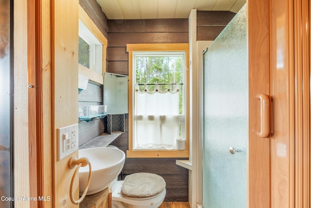 bathroom featuring toilet, a sink, and a shower with shower door