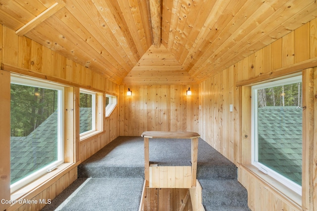 interior space featuring wood ceiling, a healthy amount of sunlight, vaulted ceiling, and a sauna