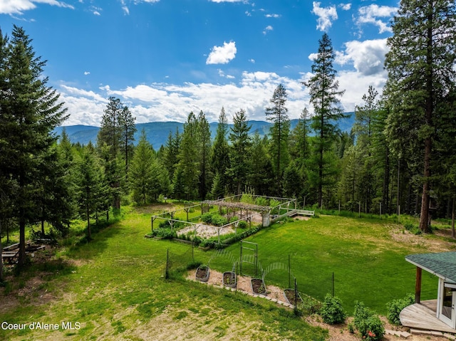 surrounding community with a garden, a yard, a forest view, and a mountain view