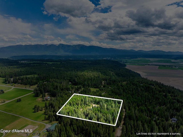 bird's eye view with a mountain view and a view of trees