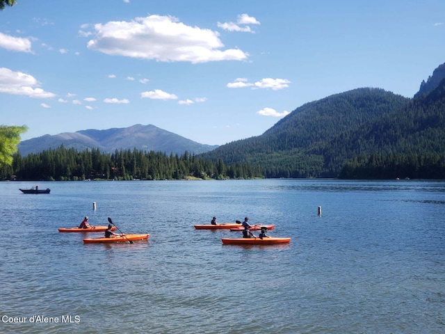 property view of water featuring a mountain view and a view of trees