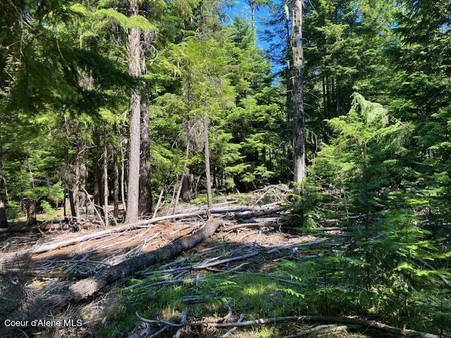 NNA Toad Rd Unit 5Acres, Priest River ID, 83856 land for sale