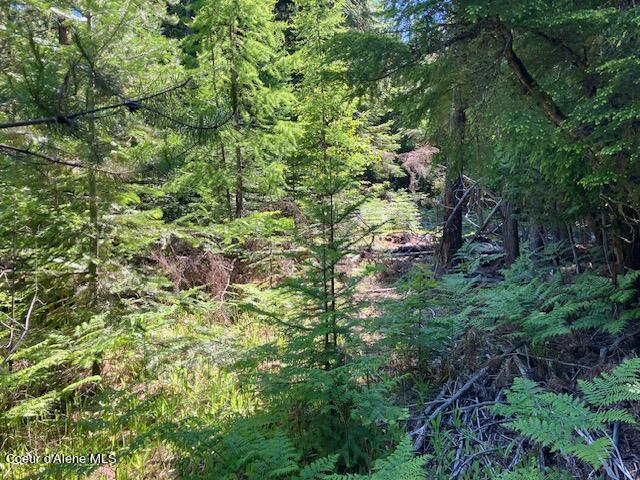 Listing photo 2 for NNA Toad Rd Unit 5Acres, Priest River ID 83856