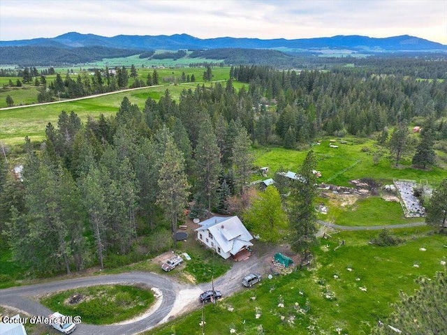 bird's eye view with a mountain view and a view of trees