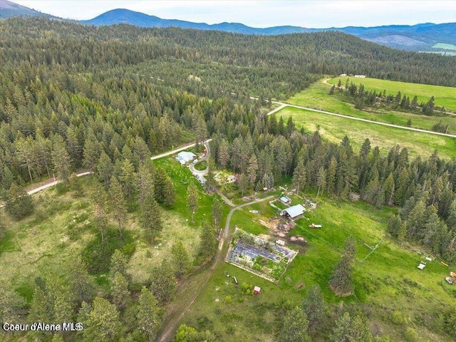 bird's eye view featuring a forest view and a mountain view