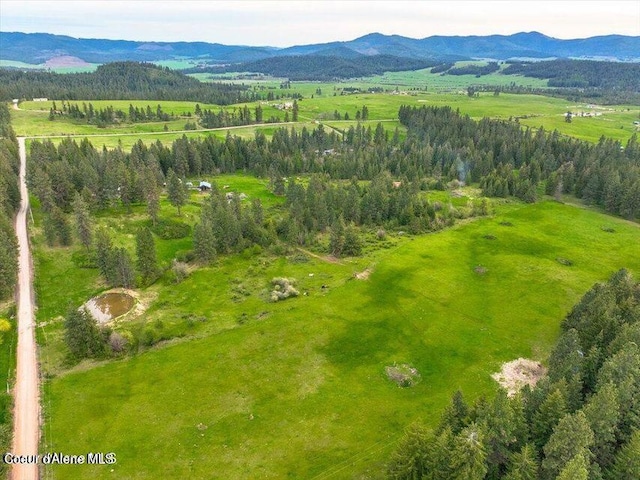 drone / aerial view with a mountain view