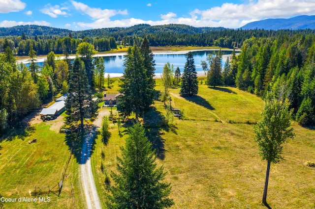 drone / aerial view with a water view and a wooded view