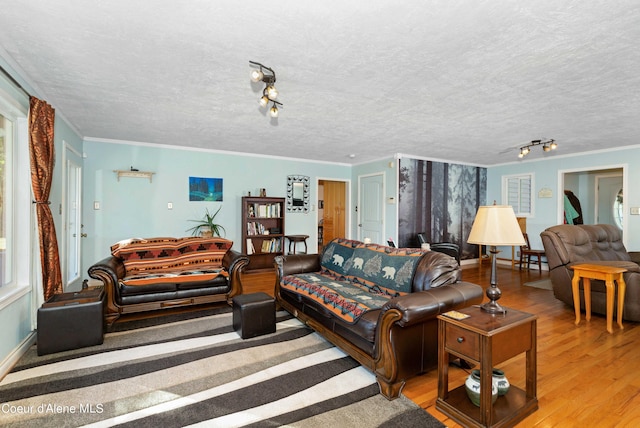 living room with crown molding, a textured ceiling, track lighting, and wood finished floors