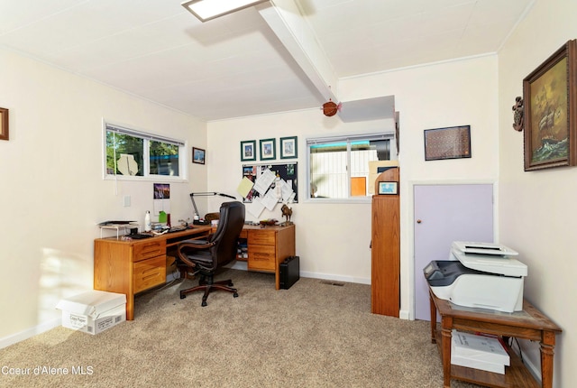 carpeted home office featuring a wealth of natural light, beam ceiling, visible vents, and baseboards