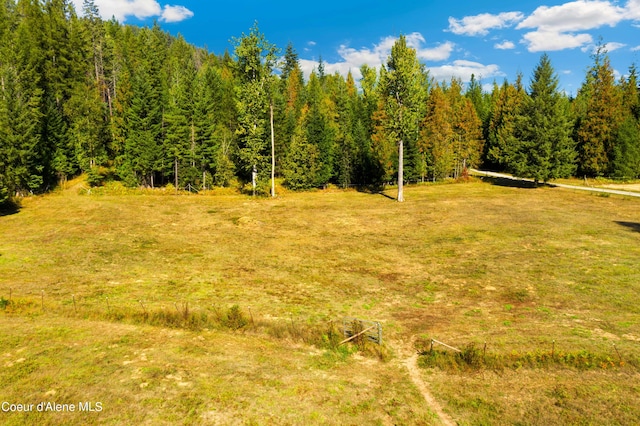 view of local wilderness featuring a forest view