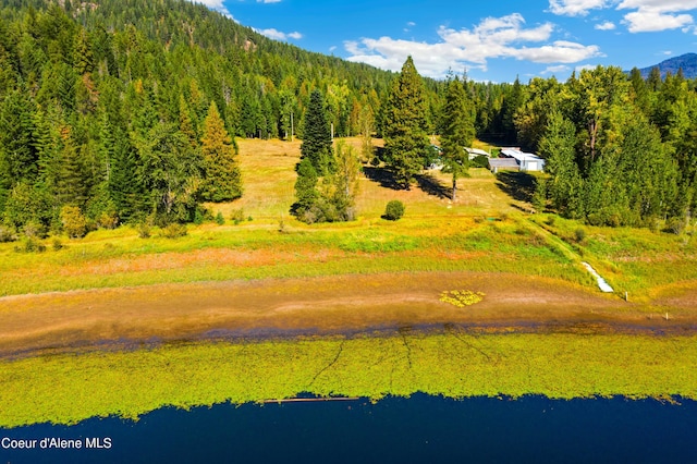 bird's eye view with a forest view and a water view