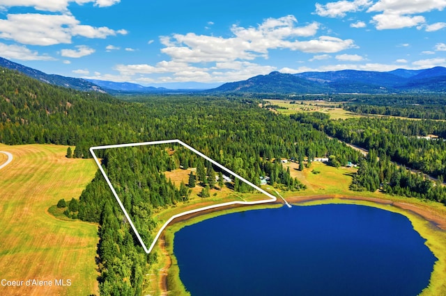 bird's eye view featuring a forest view and a water and mountain view